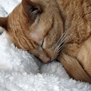 Meet your Posher, Àine